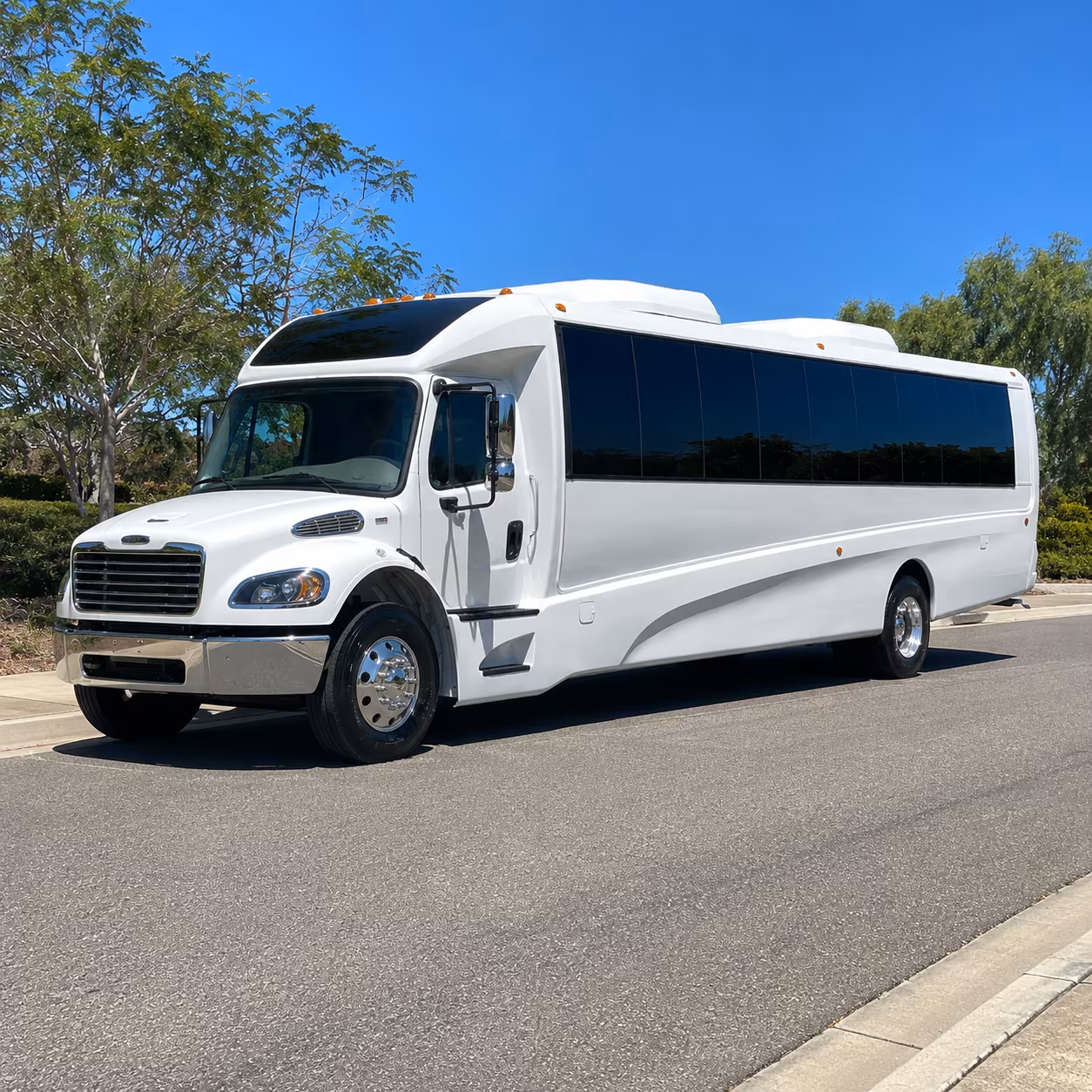 rock hill 20 passenger minibus