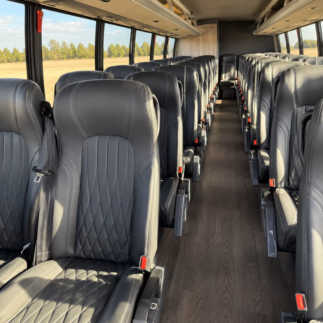 rock hill 28 passenger minibus inside