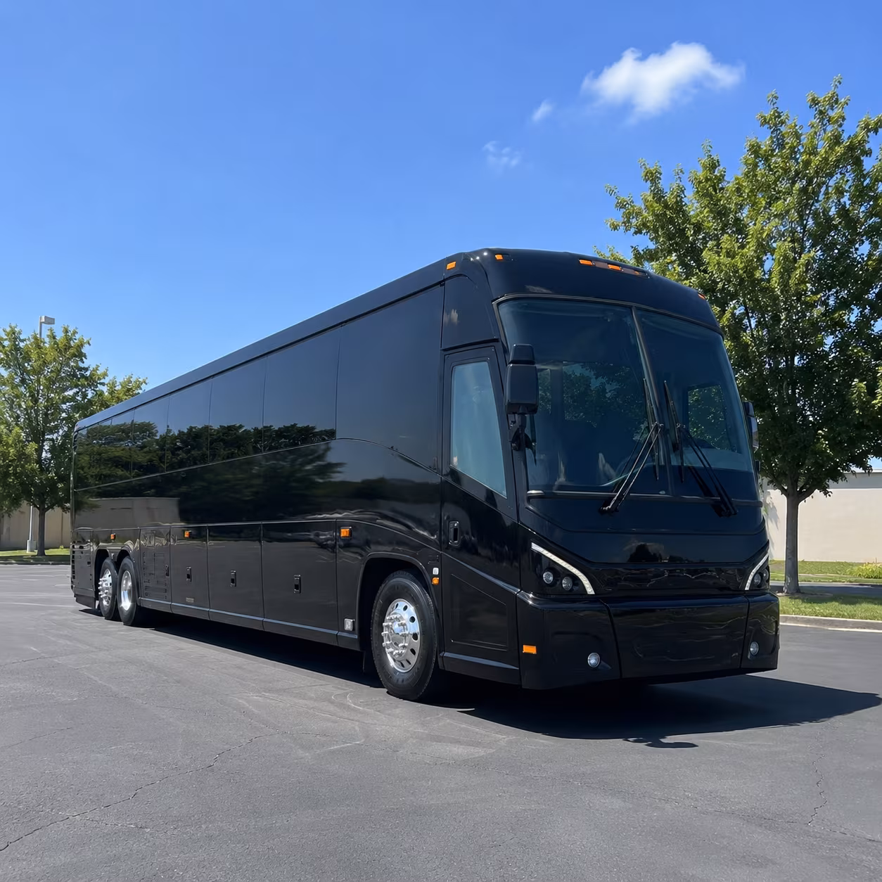 rock hill 56 passenger charter bus